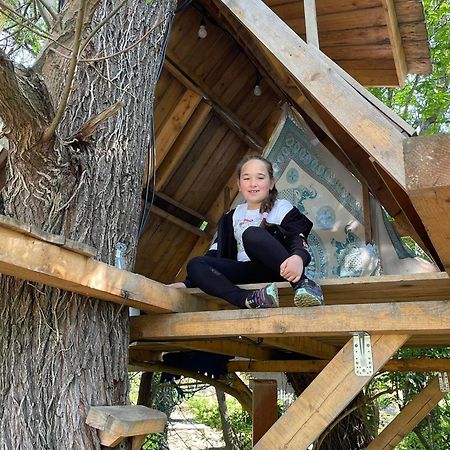 Casa Din Povesti In Mijlocul Naturii! Αράντ Εξωτερικό φωτογραφία