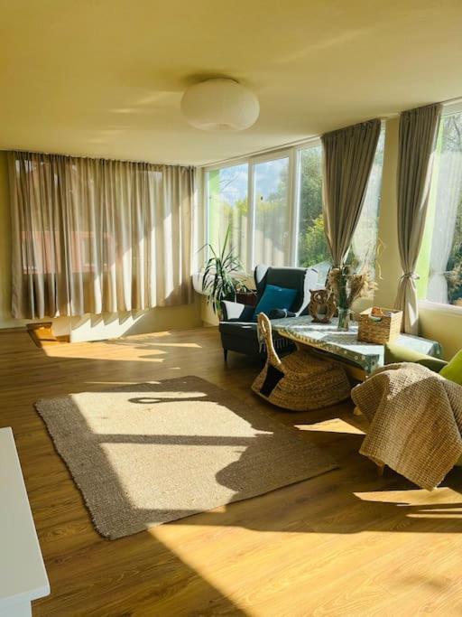 Casa Din Povesti In Mijlocul Naturii! Αράντ Εξωτερικό φωτογραφία