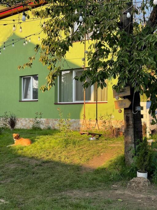 Casa Din Povesti In Mijlocul Naturii! Αράντ Εξωτερικό φωτογραφία